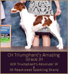 CH Triumphant's Amazing Grace JH